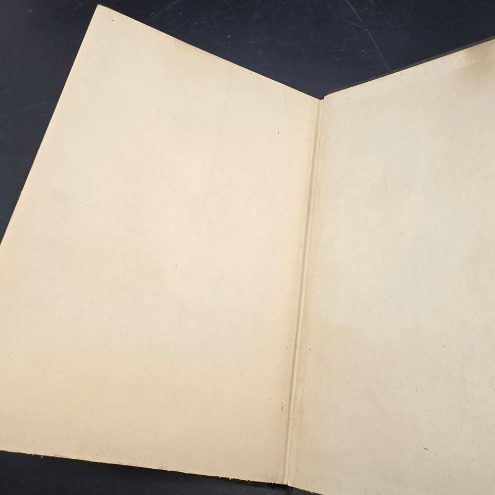 A Few Figs From Thistles Edna St. Vincent Millay 1922 Vintage Poetry Book CM2237 - Picture 10 of 10